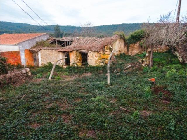 Terreno em Venda Nova