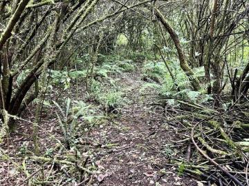 TERRENO EM VENTA EN UNO DE LOS FRACCIONAMIENTOS MAS EXCLUSIVOS DE VALLE DE BRAVO