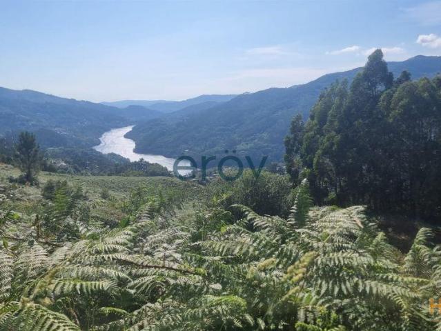 Terreno em Ventosa Vieira do Minho Oportunidade Única | 26063925661