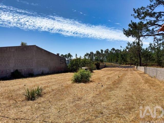 Terreno em Vieira de Leiria