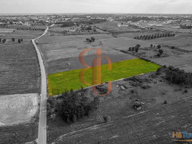 Terreno em Vila Chã de Ourique | 26083859352
