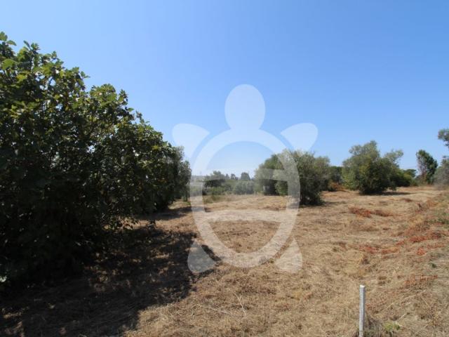 Terreno em Vila Verde