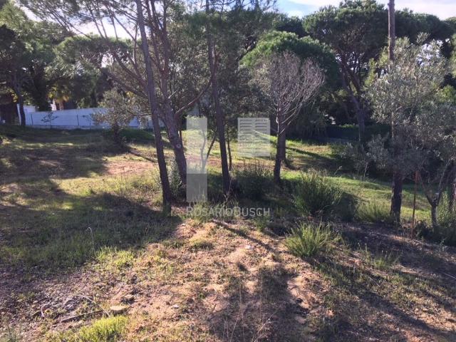 Terreno em Vilas Alvas