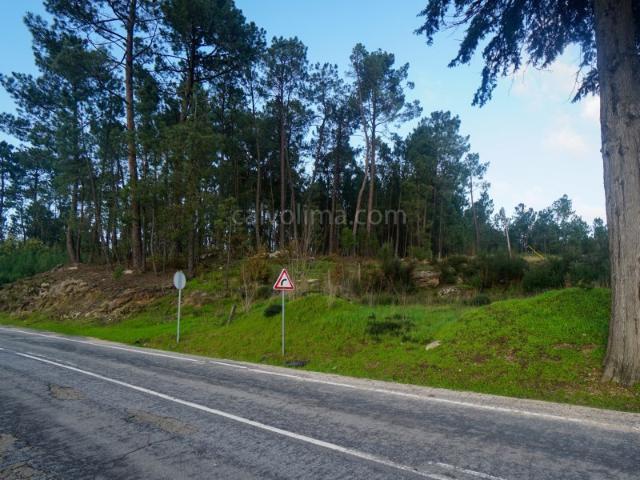 Terreno em zona de construção para venda, localizado na freguesia de Moreira, em Monção