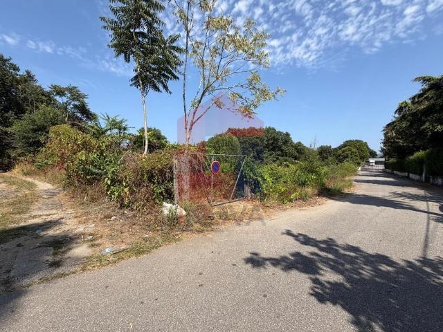 Terreno em zona de atividades económicas, Palmeira