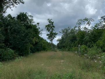 TERRENO EN MACARIO