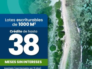 TERRENO EN MAHAHUAL