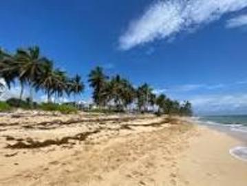 Terreno en Mahahual