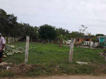 TERRENO EN MATA REDONDA VERACRUZ