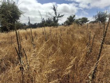 Terreno en Melipilla
