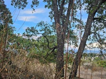 Terreno en Milpa Alta con acceso a carretera, propiedad privada