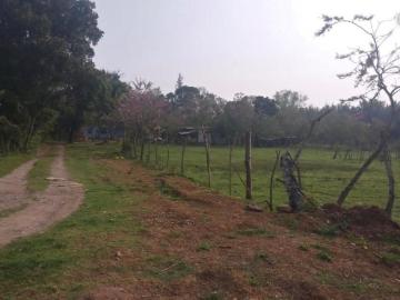 Terreno en Misantla, Col. Las Rosas