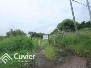 Terreno en Miramapolis