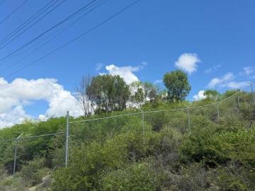 Terreno en Montemorelos