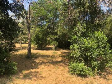 Terreno en Montemorelos