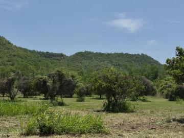 TERRENO EN MONTEMORELOS, N.L. IDEAL PARA PARA DESARROLLO CAMPESTRE O SEMI URBANO