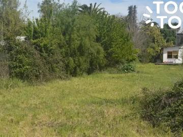 Terreno en Nancagua