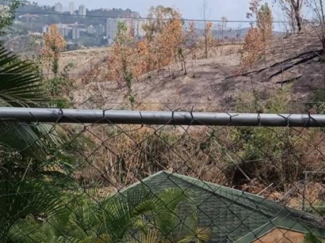 TERRENO EN OJO DE AGUA LA TRINIDAD