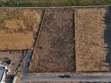 Terreno en Olivar