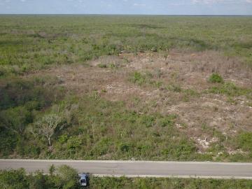 Terreno en Opichen de 264 hectarias