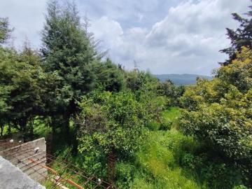 Terreno en Acatitlán, Valle de Bravo con pequeña huerta de aguacates
