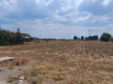 Terreno en Agrícola Analco