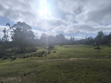 Terreno en Algarrobo