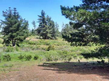 Terreno en Algarrobo