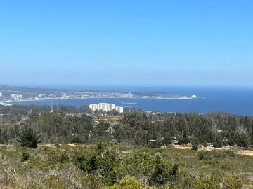Terreno en Algarrobo