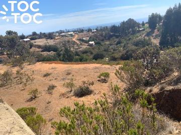 Terreno en Algarrobo