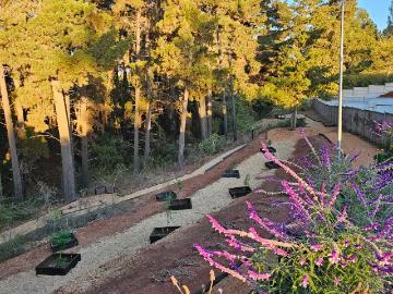 Terreno en Algarrobo