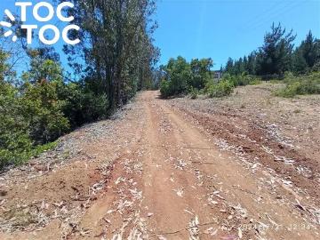 Terreno en Algarrobo