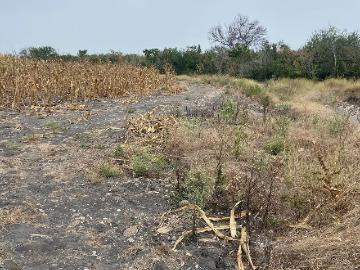 Terreno en Aldama