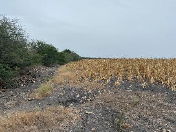 Terreno en Aldama