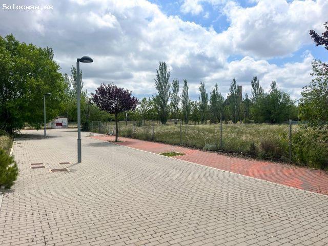 TERRENO EN ALMANSA