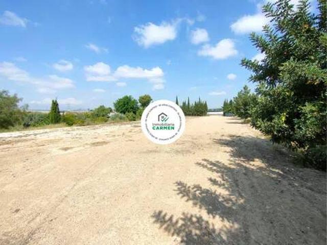 Terreno en Alquiler en Murcia