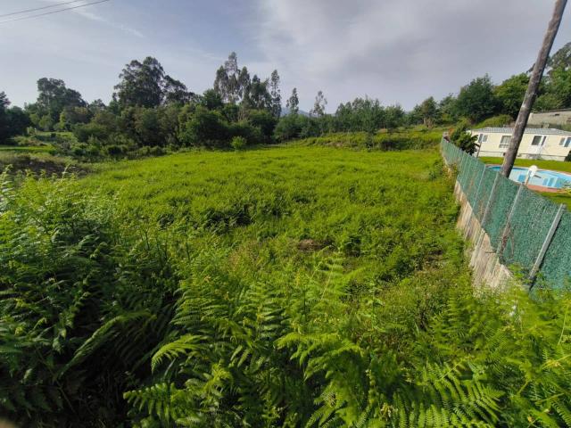 Terreno en alquiler en Mondariz