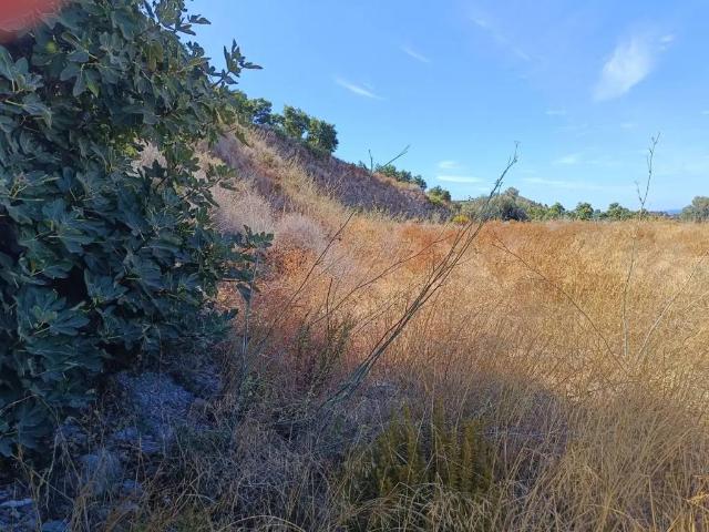 Terreno en Alquiler en Motril