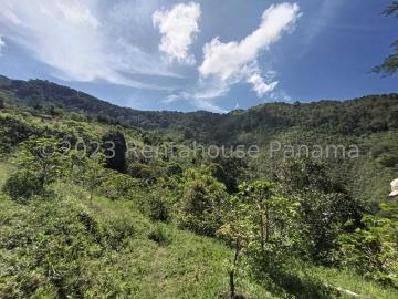 Terreno en Venta en Nueva California, Tierras Altas