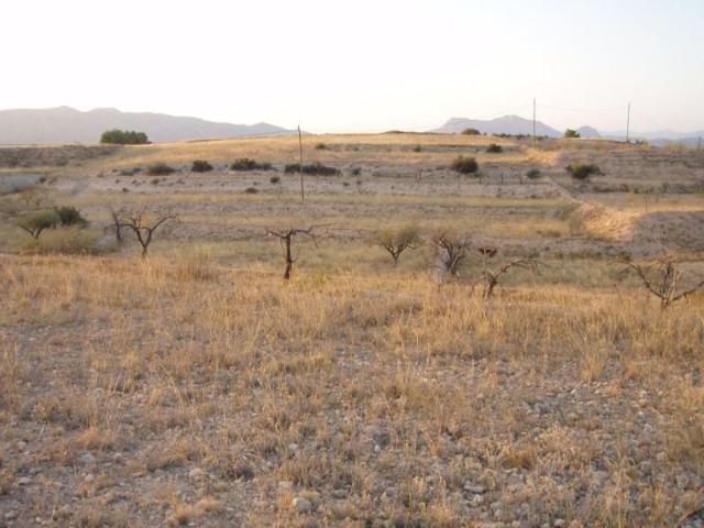 Terreno en alquiler en Novelda, 03660