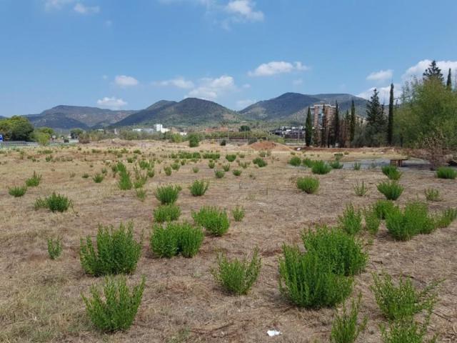 Terreno en alquiler en Olesa de Montserrat, La Flora