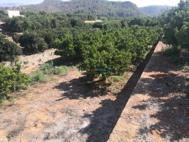 Terreno en Alquiler en Oliva
