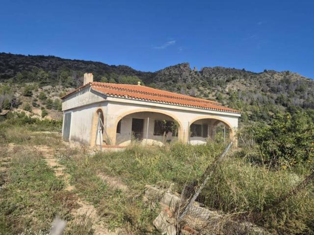 Terreno en Venta en Oliva