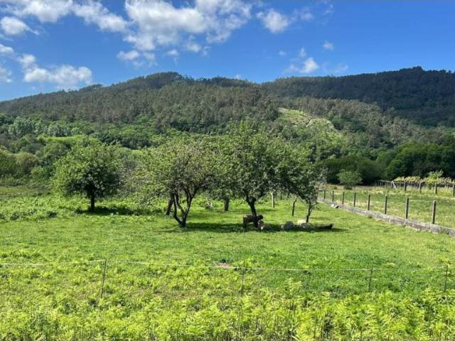Terreno en Alquiler en A Estrada