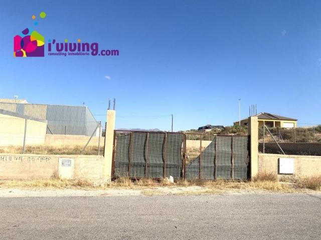 Terreno en alquiler en Albox, Venta el Cholas
