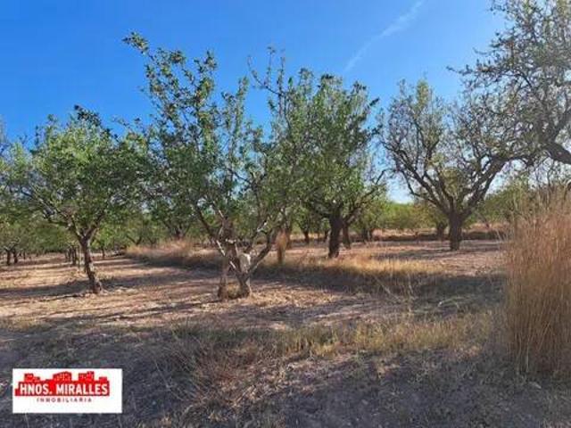 Terreno en Alquiler en Alicante Alacant