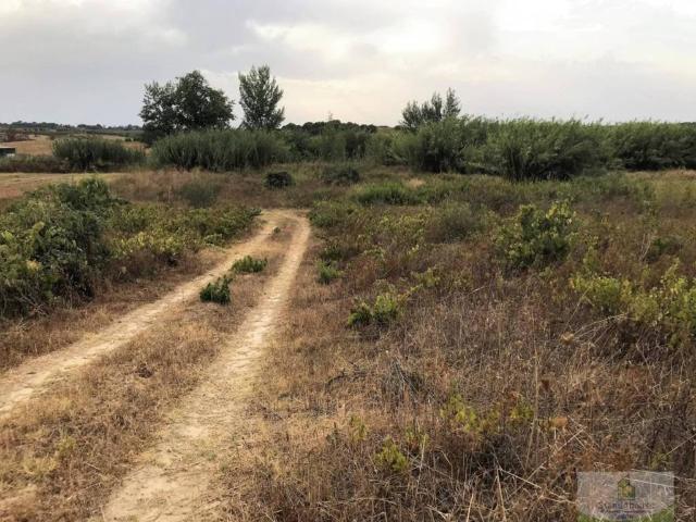 Terreno en Alquiler en Bollullos Par del Condado