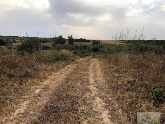 Terreno en Venta en Bollullos Par del Condado