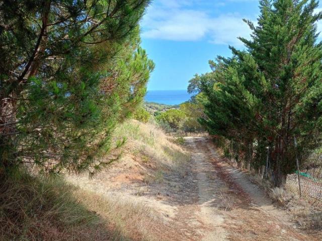 Terreno en Alquiler en Canet de Mar