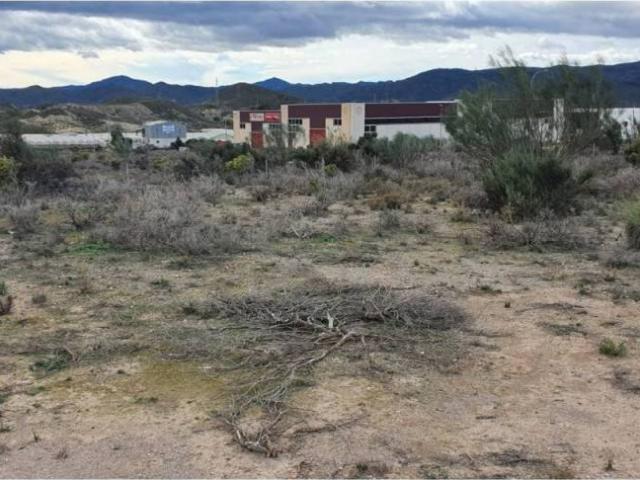 Terreno en Alquiler en Cantoria